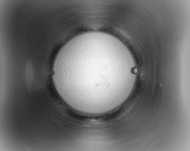 X0000089860737200707191920