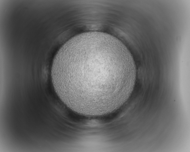 X0000089860741200707191920