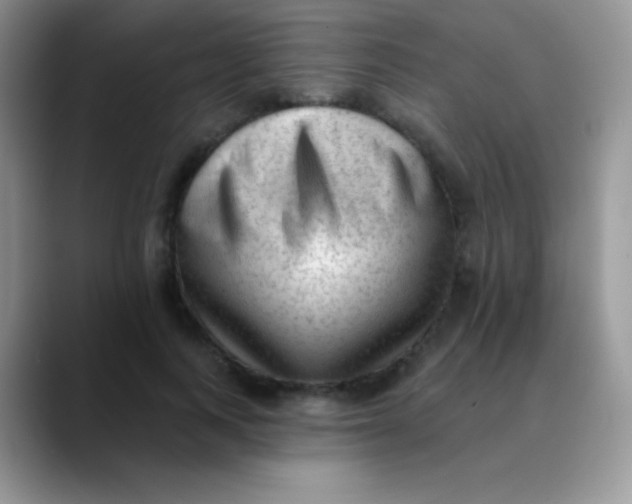 X0000089860743200707191920