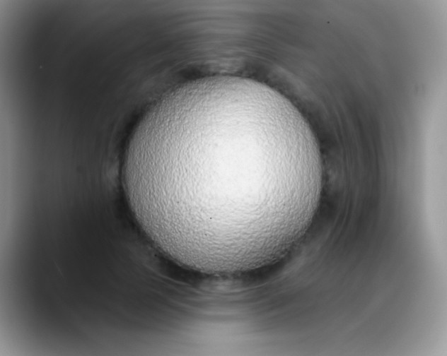 X0000089860745200707191920