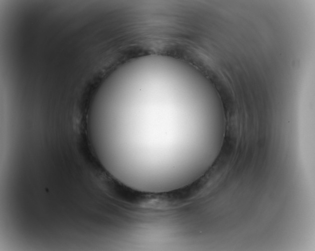 X0000089860750200707191920