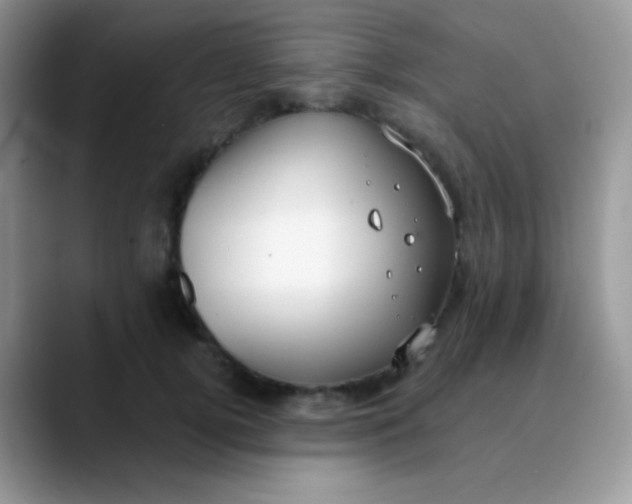 X0000089860752200707191920