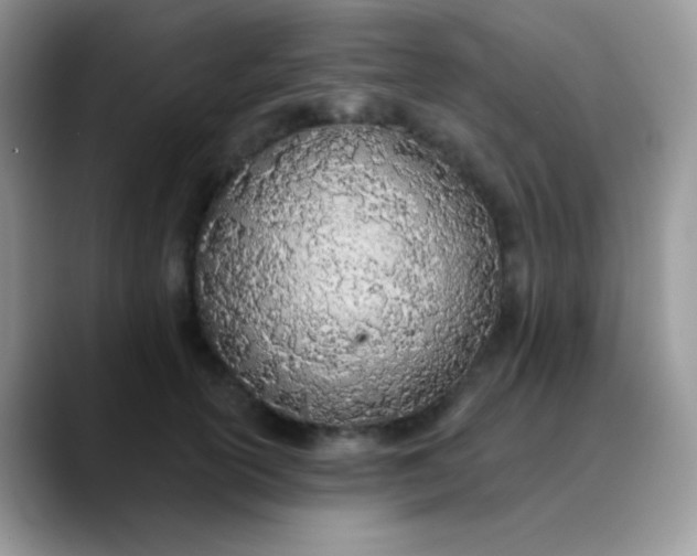 X0000089860754200707191920