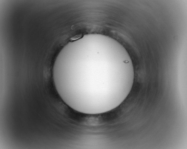 X0000089860756200707191920