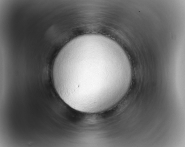 X0000089860757200707191920