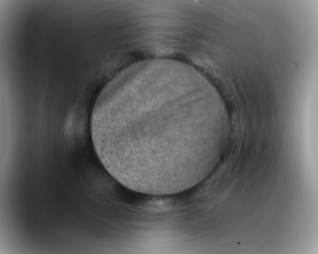 X0000089860760200707191920