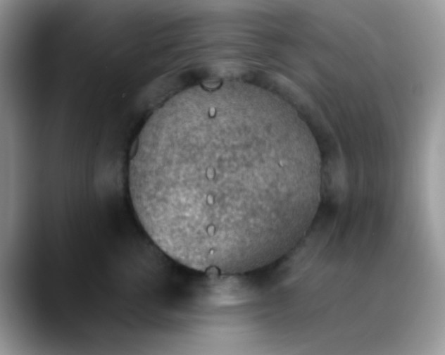 X0000089860762200707191920