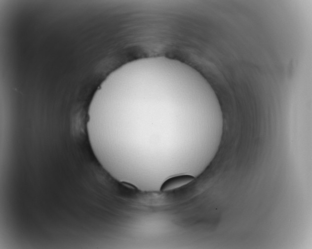 X0000089860768200707191920