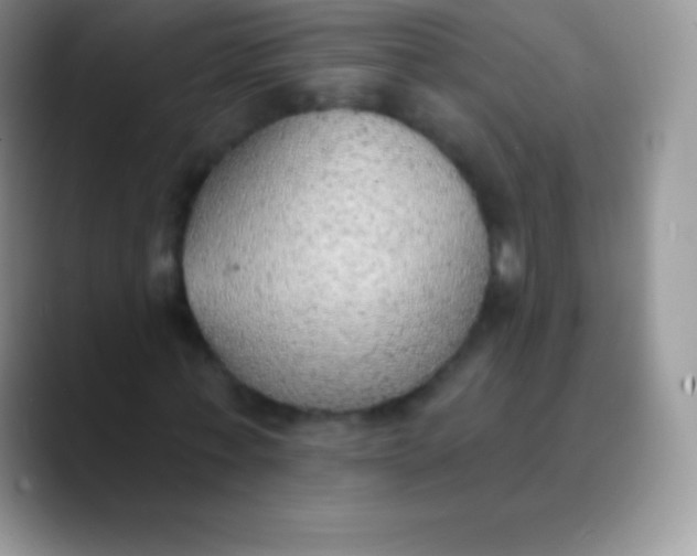 X0000089860771200707191920