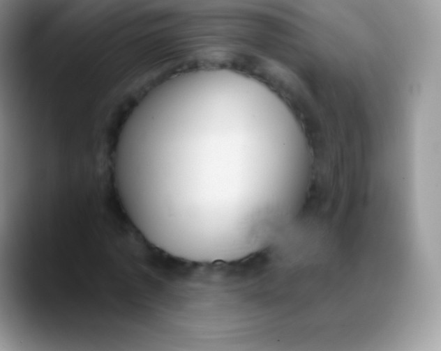 X0000089860773200707191920