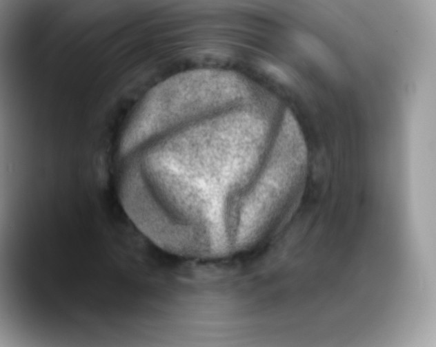 X0000089860774200707191920