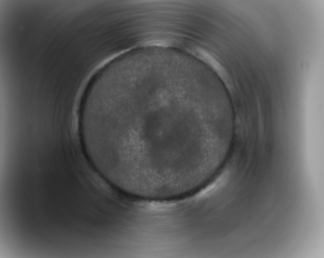 X0000089860779200707191920