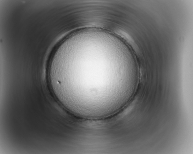 X0000089860780200707191919