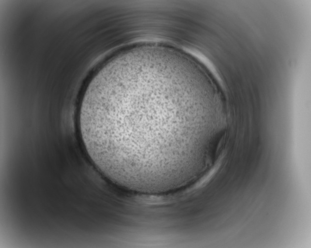 X0000089860783200707191919