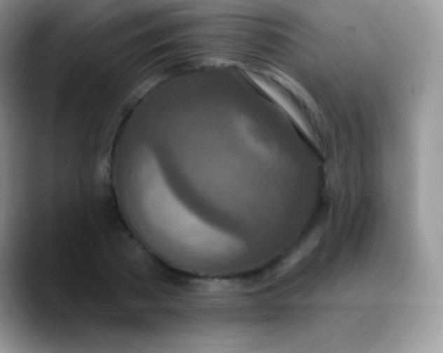 X0000089860785200707191919