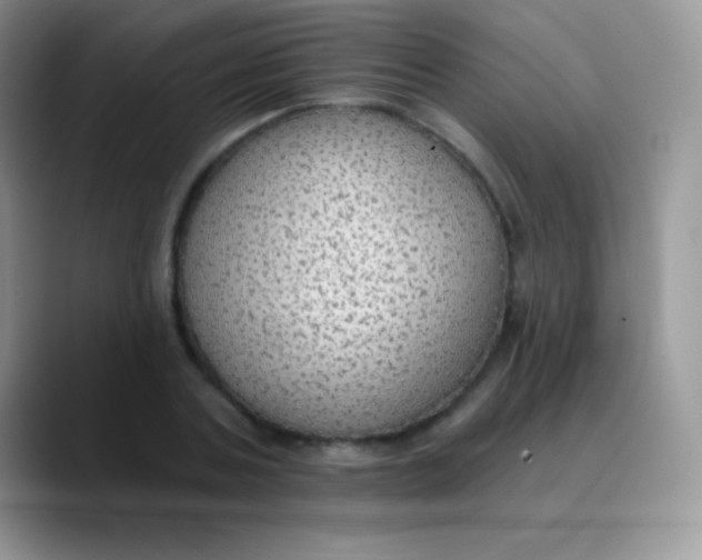 X0000089860787200707191919