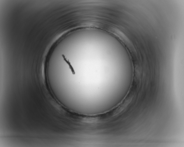 X0000089860788200707191919