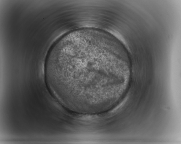 X0000089860790200707191919