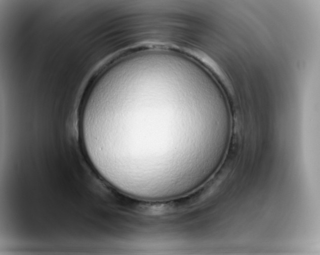 X0000089860791200707191919