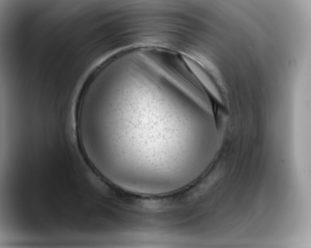 X0000089860792200707191919