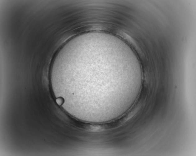 X0000089860794200707191919