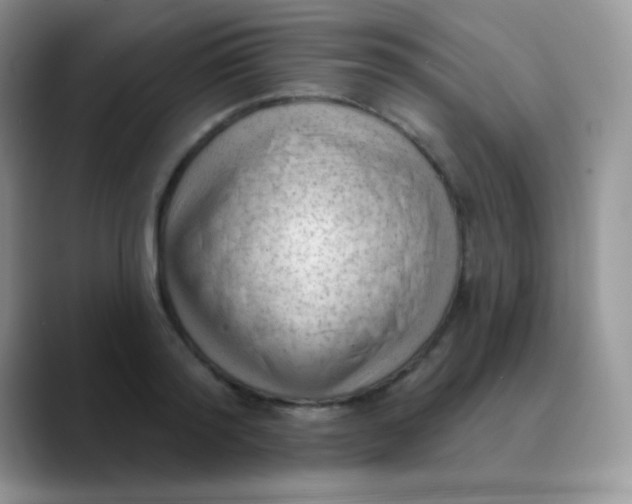 X0000089860796200707191919