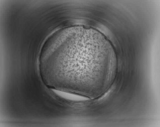 X0000089860798200707191919