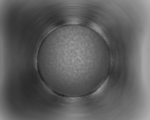 X0000089860802200707191919