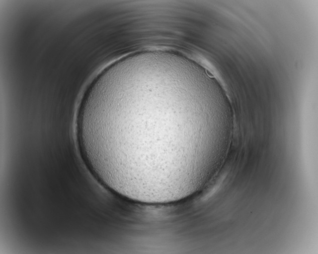 X0000089860803200707191919