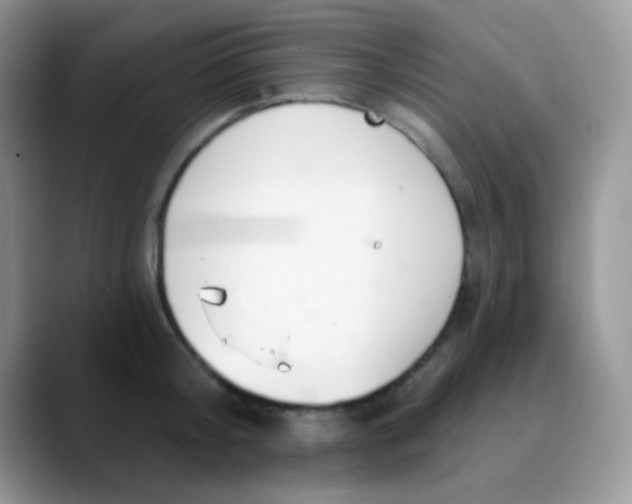 X0000089860804200707191919