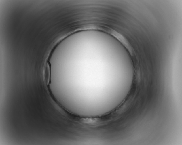 X0000089860805200707191919