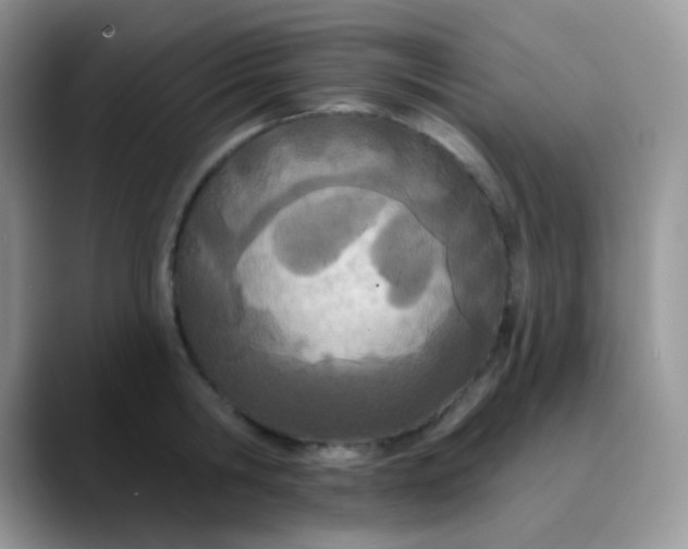 X0000089860806200707191919