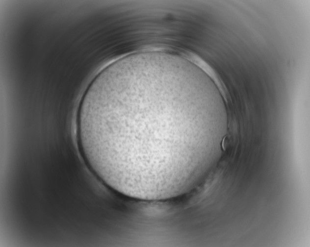 X0000089860811200707191919