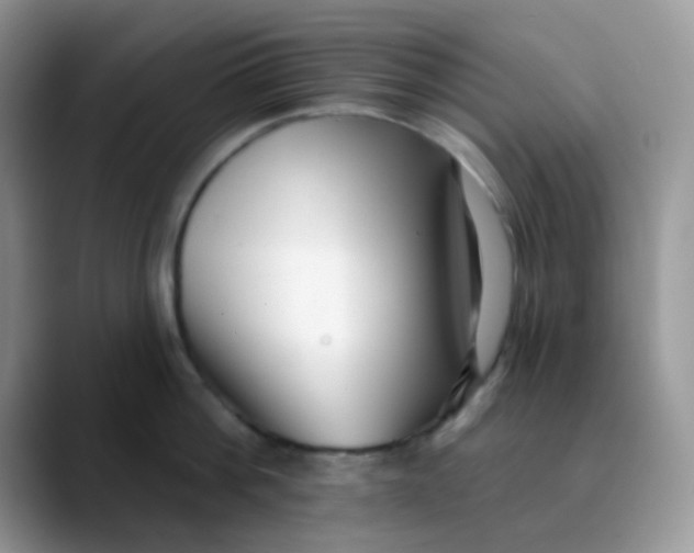 X0000089860812200707191919