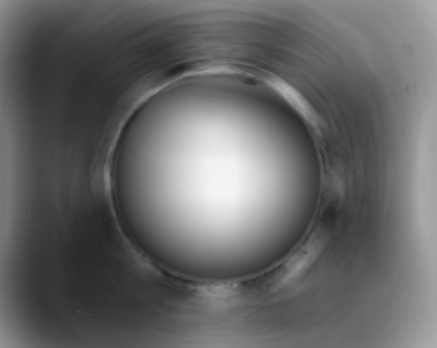 X0000089860813200707191919