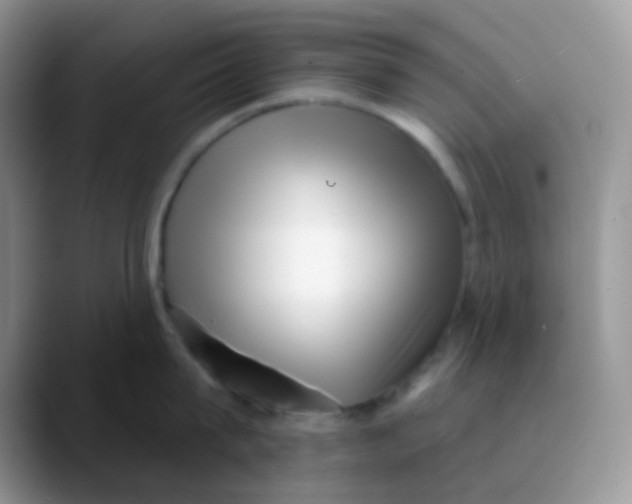 X0000089860815200707191919