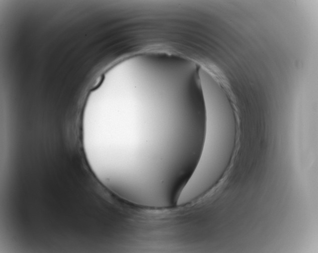 X0000089860816200707191919