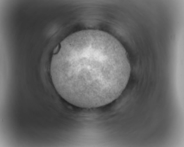 X0000089860817200707191919