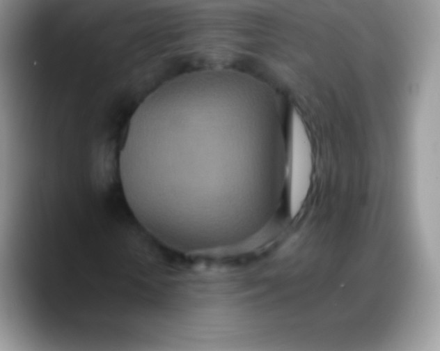 X0000089860818200707191919