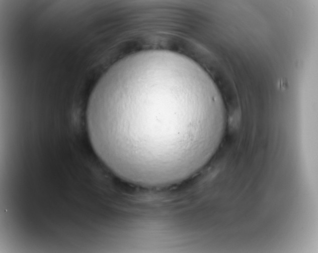 X0000089860819200707191919