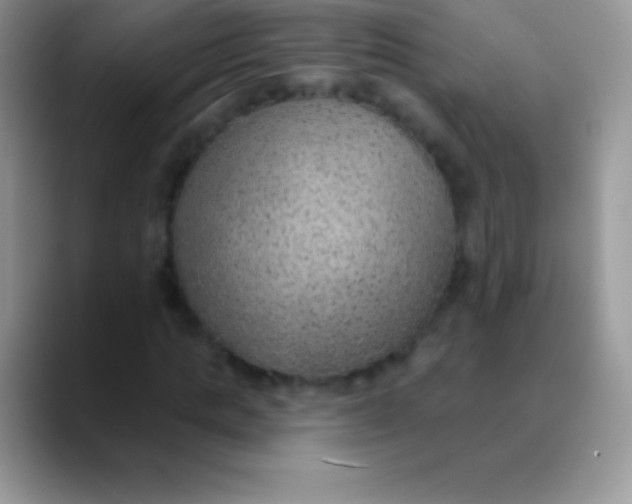 X0000089860821200707191919