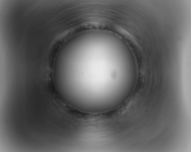 X0000089860822200707191919