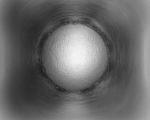 X0000089860823200707191919