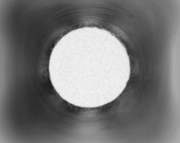 X0000089860824200707191919