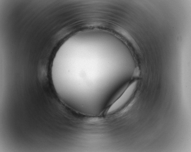 X0000089860826200707191919