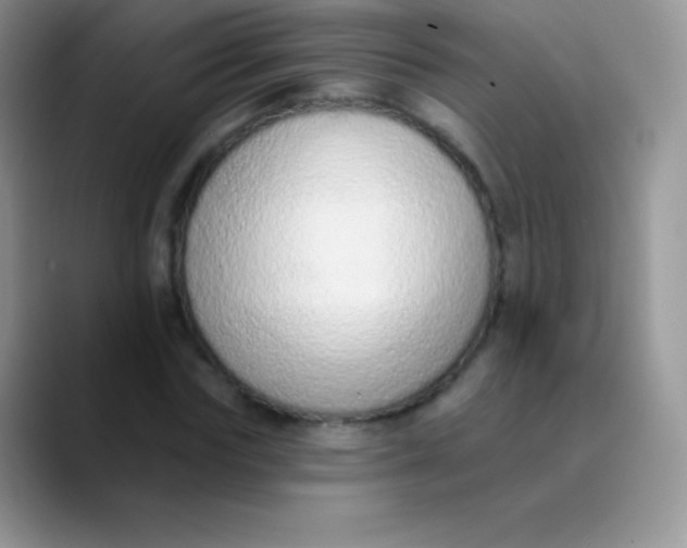 X0000089860827200707191919