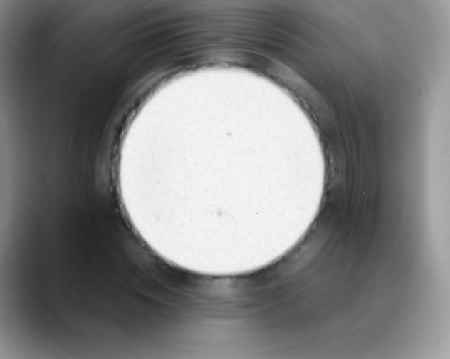 X0000089860828200707191919