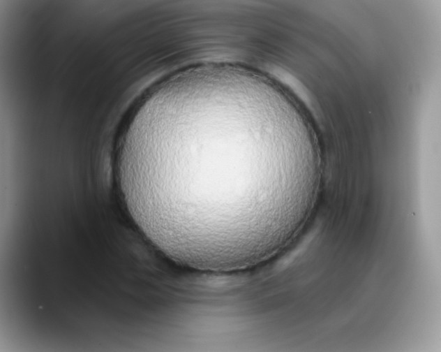 X0000089860829200707191919