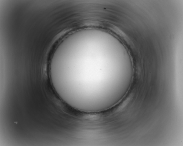 X0000089860830200707191919