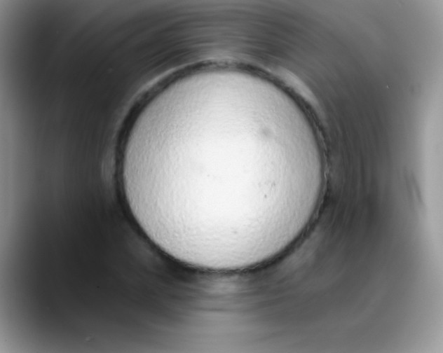 X0000089860831200707191919